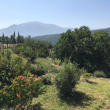 モリEls Pirineusアパートメント エクステリア 写真