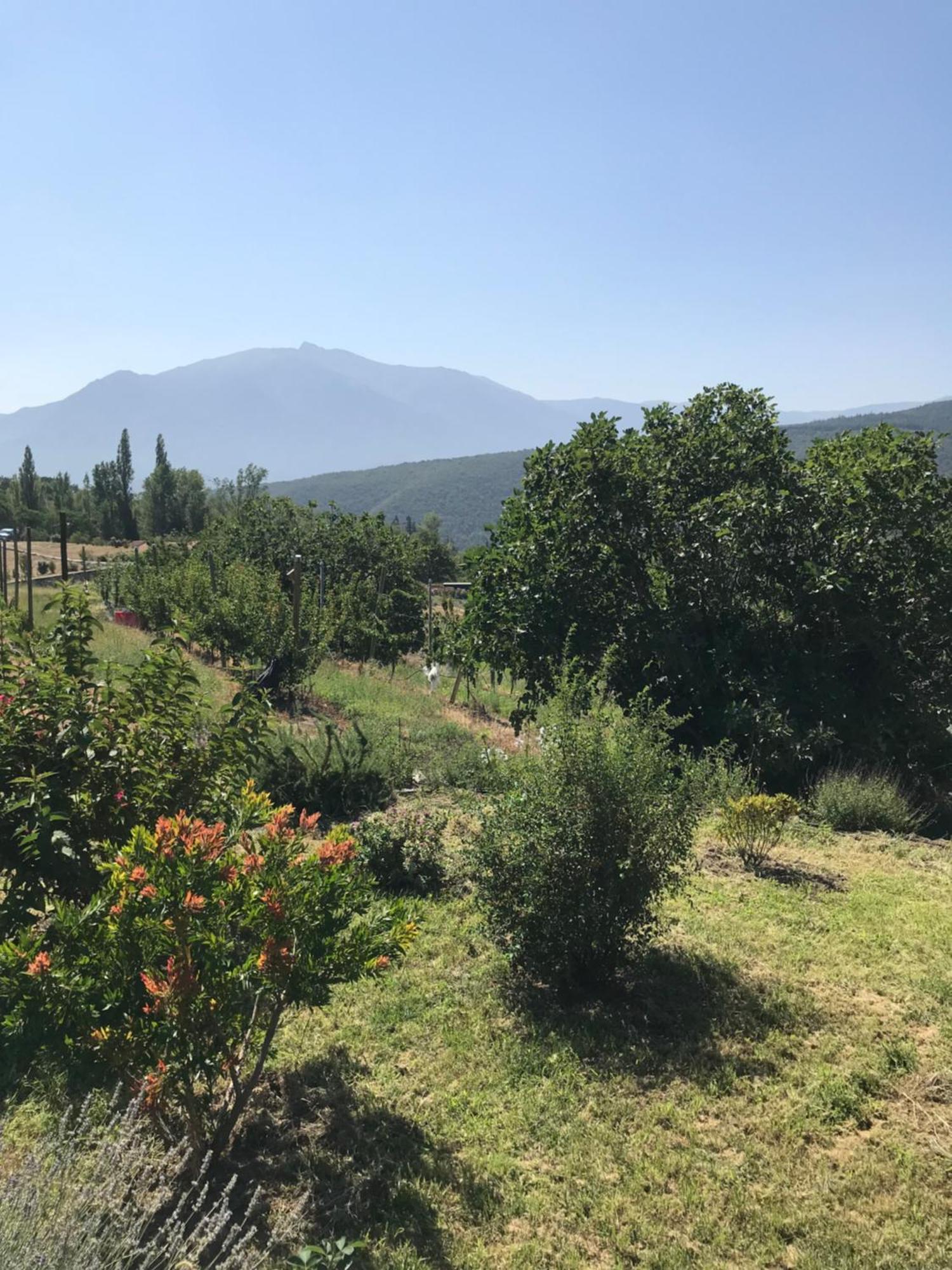 モリEls Pirineusアパートメント エクステリア 写真